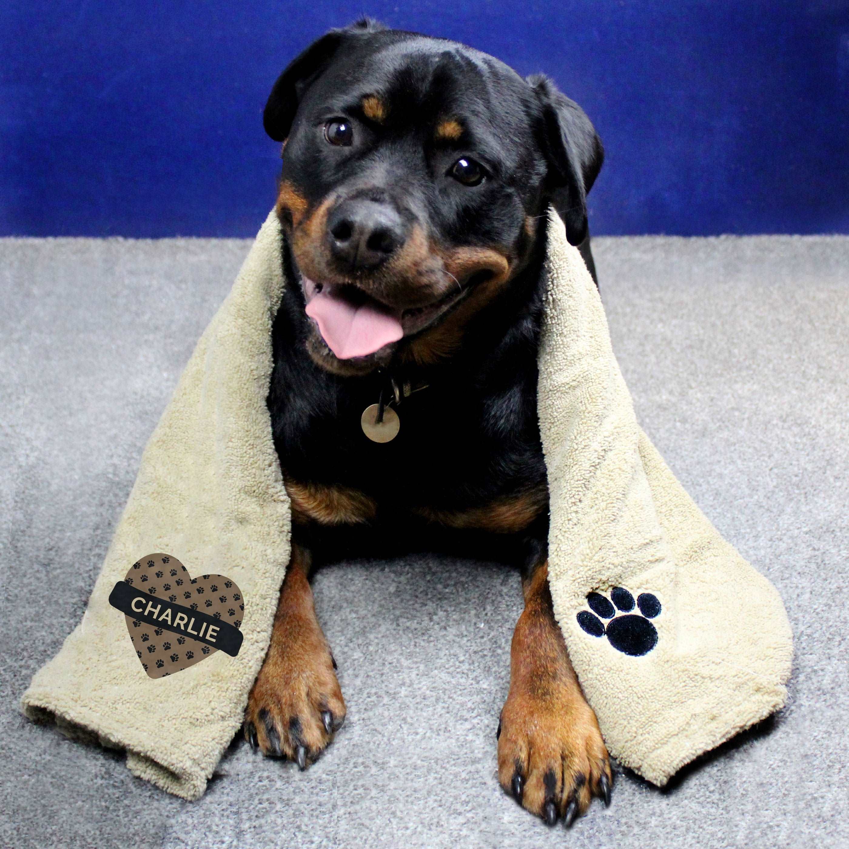 Personalised microfibre 2025 dog towel