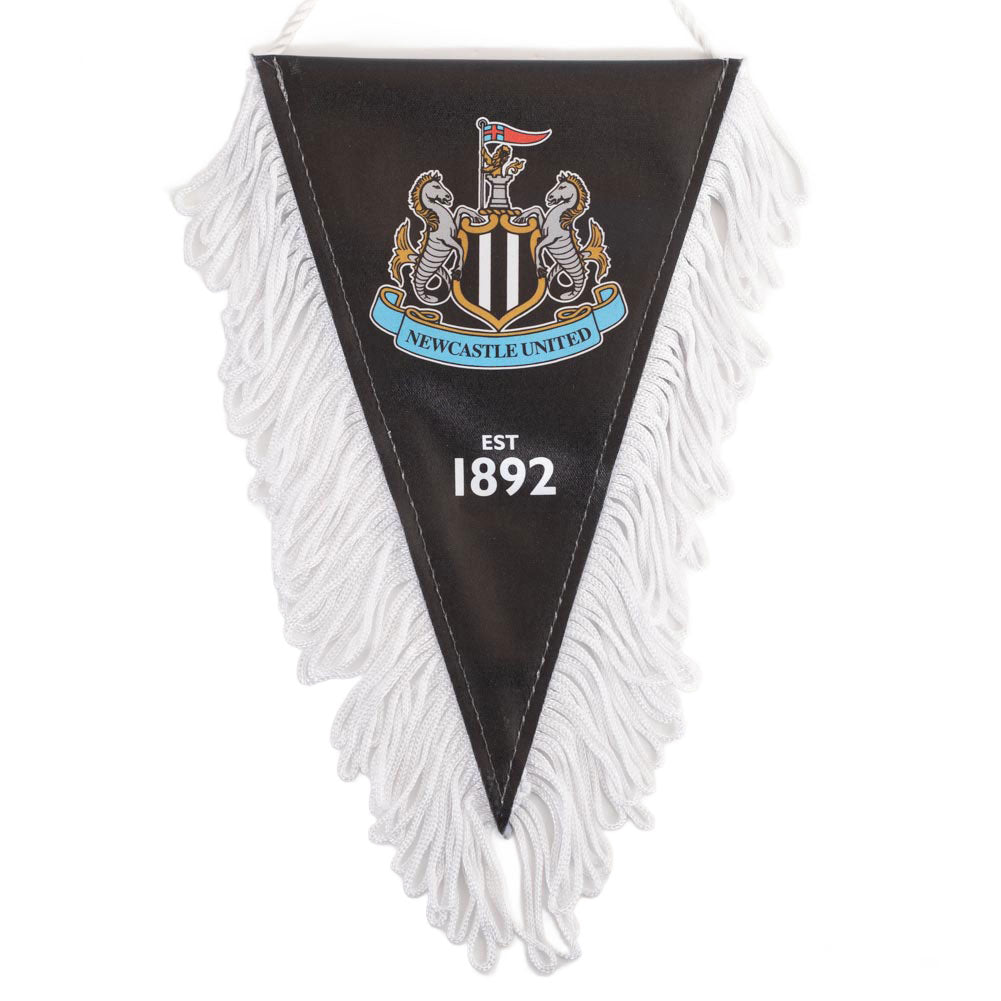 Satin look triangular design mini pennant