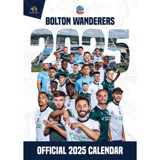 Year 2025 A3 wall calendar