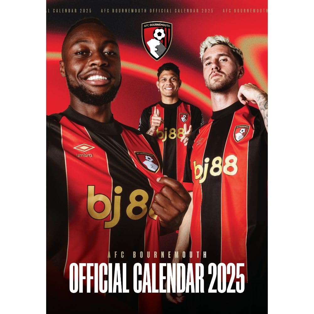 Year 2025 A3 wall calendar