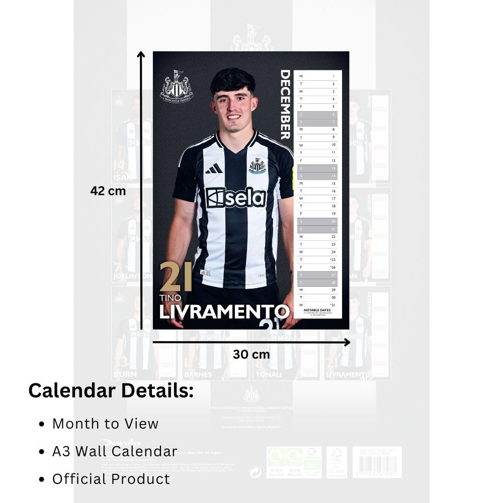 Newcastle United FC A3 Calendar 2025