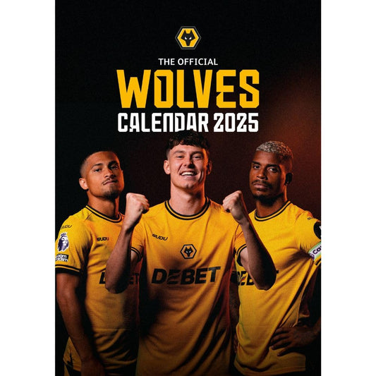 Year 2025 A3 wall calendar