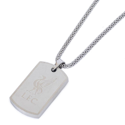 Small stainless steel dog tag and chain