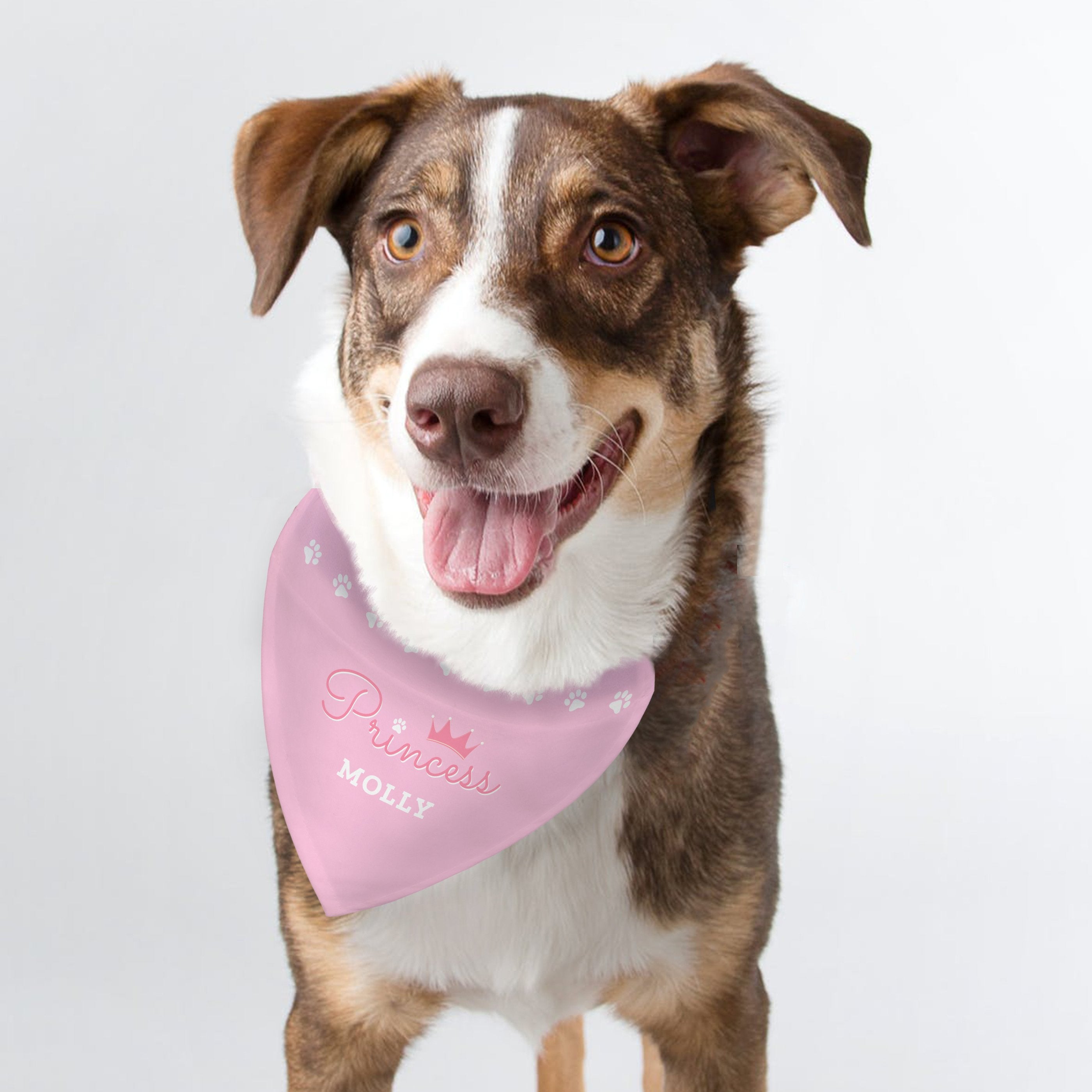 Personalised dog neckerchief shops